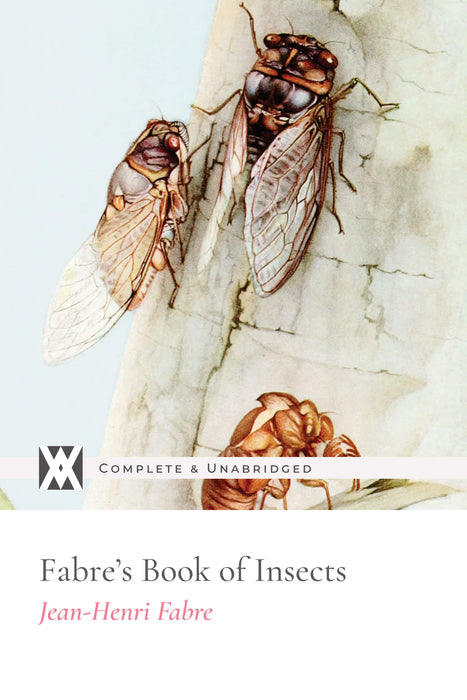 Fabre's Book of Insects