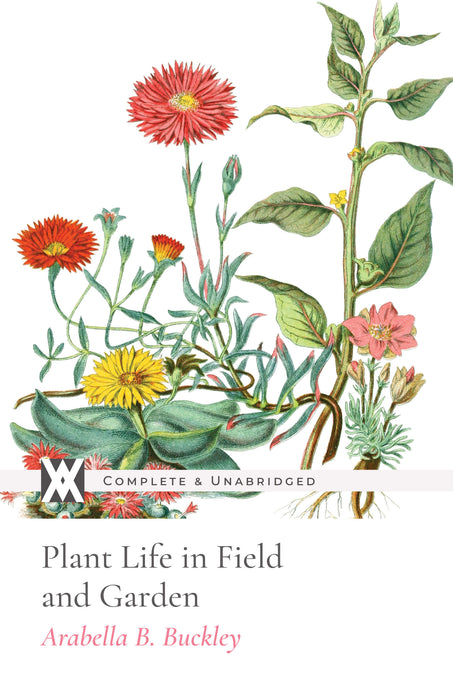 Plant Life In Field and Garden