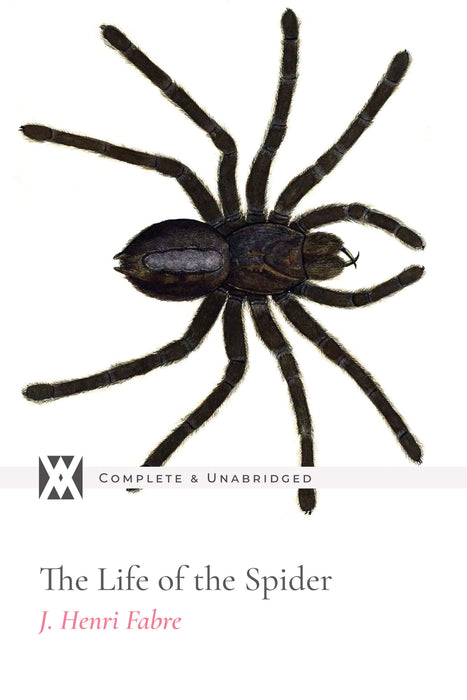 The Life of The Spider